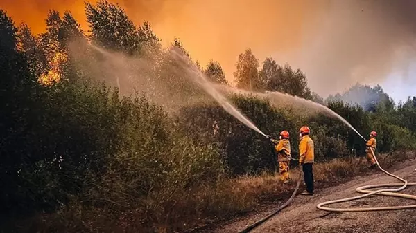 Пожар в Чернобыльской зоне локализовали: радиационный фон в норме