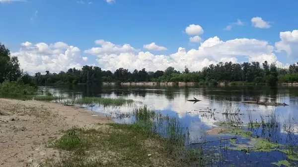 В Десне вблизи Киева уровень воды упал до критического минимума