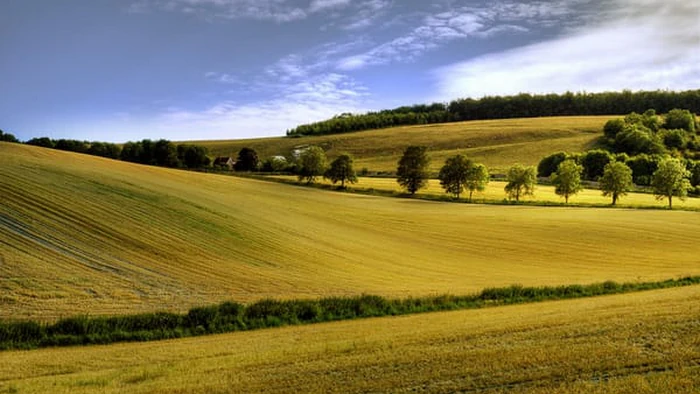 Гороскоп на неделю: для всех знаков зодиака