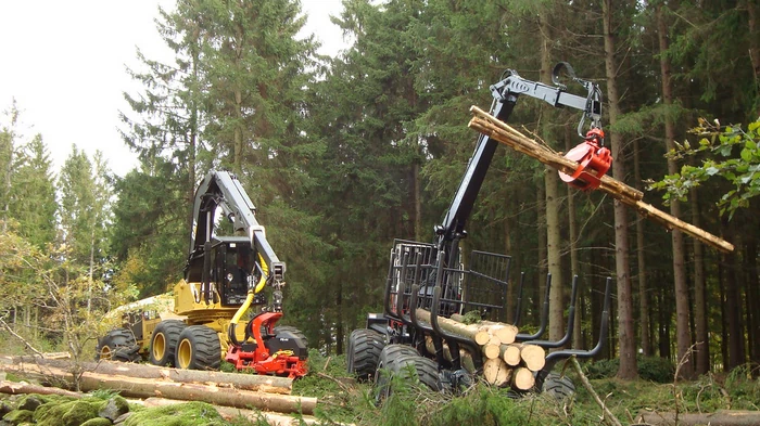 механизированная валка деревьев