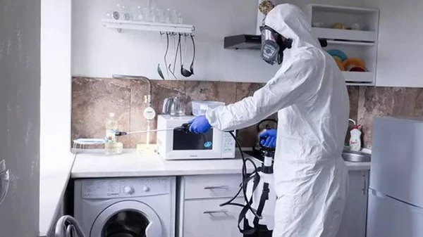 Уничтожение тараканов в квартире: почему это доверяют профессионалам