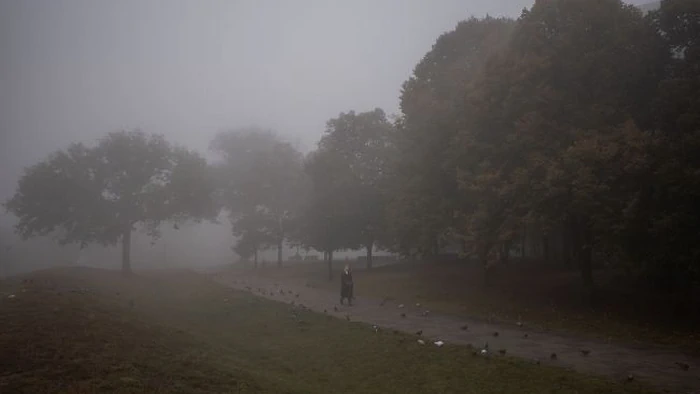 Дощі з грозами, спека та тумани: чого чекати від погоди сьогодні