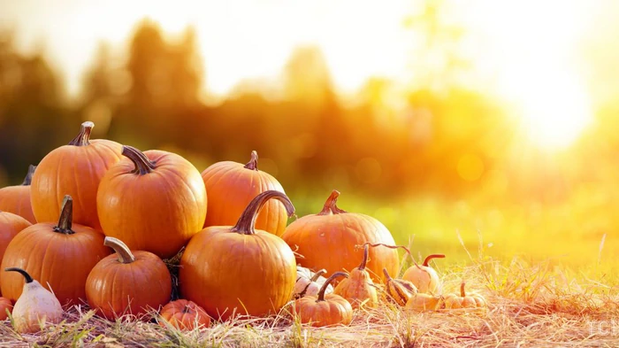 Гороскоп на неделю: для всех знаков зодиака