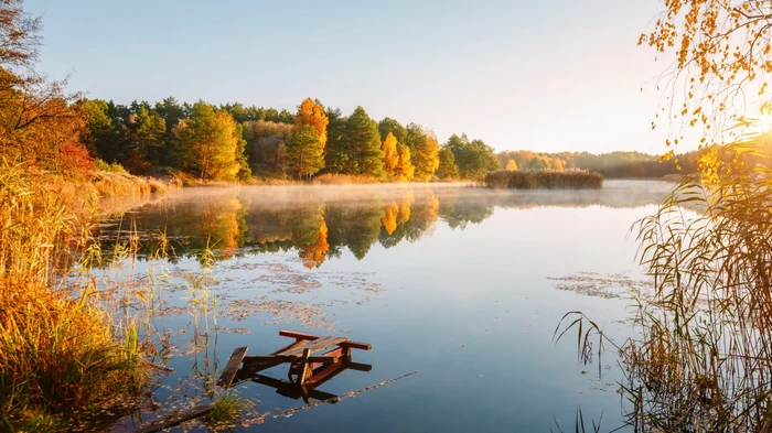 Гороскоп на неделю: для всех знаков зодиака