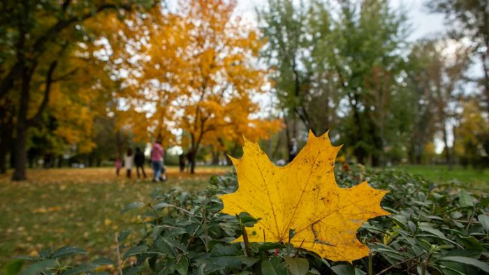 Осіння погода без морозів: чого чекати українцям сьогодні