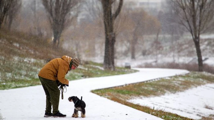 Потепління наближається: де сьогодні буде +4, а де - піде сніг з дощем