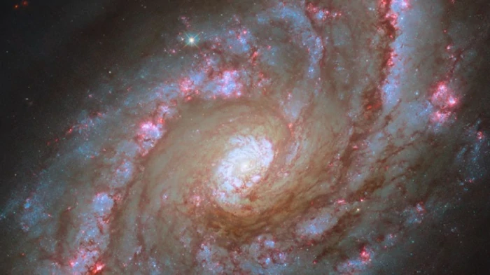 Телескоп обнаружил массивную галактику, которая перестала порождать звезды