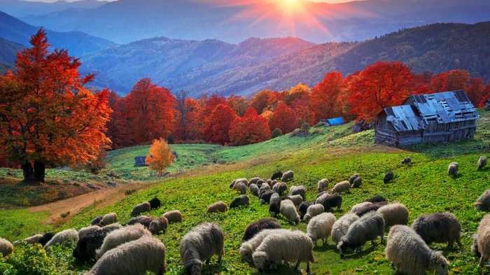 $20 миллиардов дохода: какая аграрная отрасль может стать новым козырем Украины