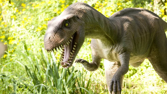 Динозавры были невероятно быстрыми существами: ученые нашли доказательства