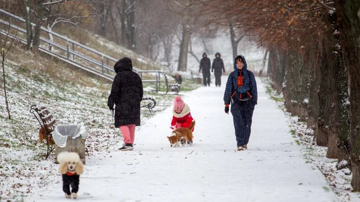 Останні морози перед весною? Синоптик назвала дату значного потепління