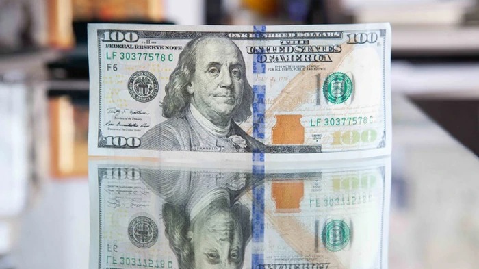 Что будет с курсом доллара в Украине после решений Евросоюза и МВФ: прогноз аналитика