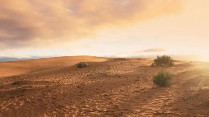 В пустыне обнаружили человеческие следы возрастом 120 тысяч лет: почему это удивило ученых