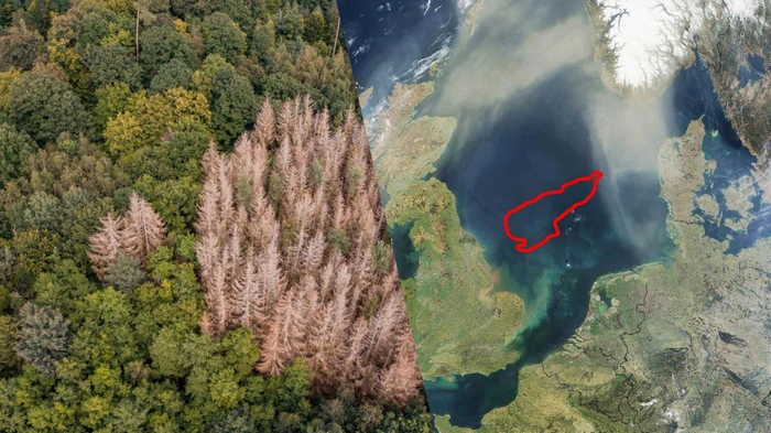 Ученые обнаружили «затерянный мир» на дне Северного моря