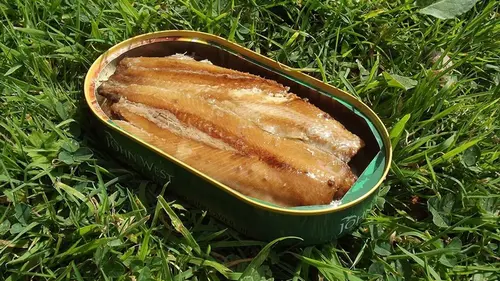 Банку с лососем открыли спустя 50 лет: результат удивил ученых