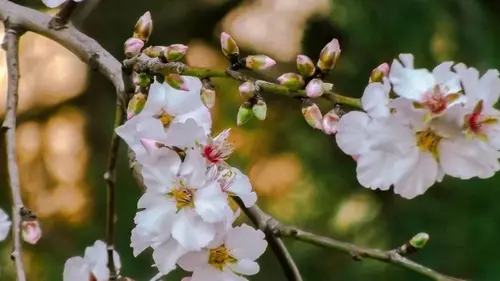 Гороскоп на неделю: для всех знаков зодиака