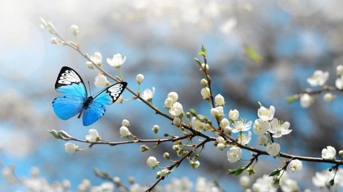 Быстрое потепление и грозы? Синоптики объяснили, каким может быть апрель в Украине