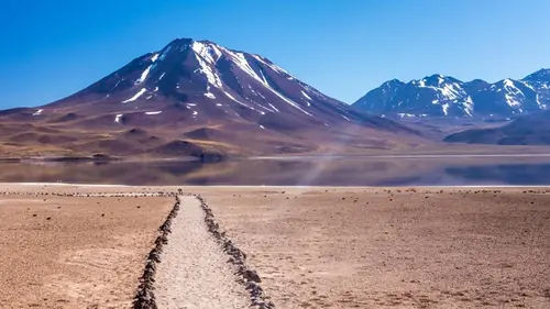Под самой засушливой пустыней на Земле на глубине 2 метра обнаружили скрытый «оазис»