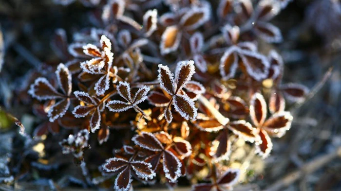 Такого не было 40 лет: Львов установил температурный рекорд