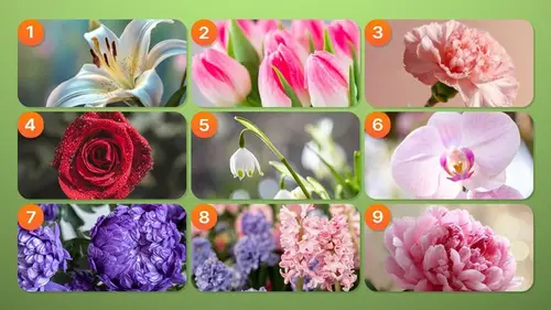 Какой цветок вам нравится больше всего: он расскажет, что делает вас особенным