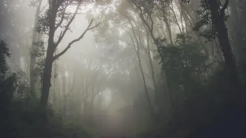 В Африке наблюдают явление, которого никто не ожидал, – ученые