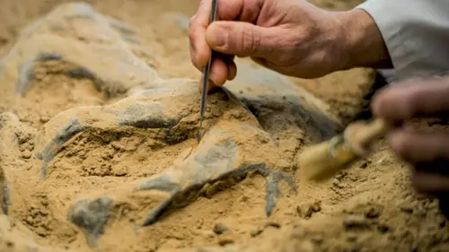 Ученые нашли скелеты возрастом 7 000 лет с ДНК неизвестного науке человеческого вида