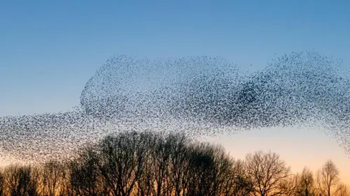 Под кладбищем Нью-Йорка нашли 5,6 миллиона живых существ: ученые ошеломлены