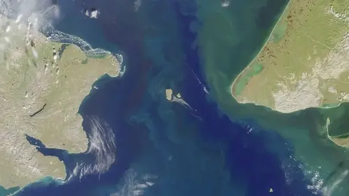 Радикальный шаг для людей: ученые призвали срочно закрыть Берингов пролив (фото)