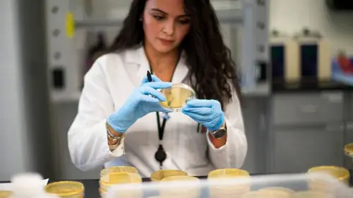 В Украине зафиксирован первый случай нового штамма COVID-19 «Цикада»