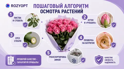Пошаговый алгоритм осмотра растений