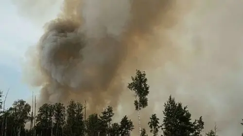 В Чернобыльской зоне пронесся огненный смерч (видео)