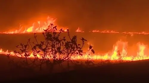 Изменение климата увеличило вероятность мегапожаров в Испании в 20 раз