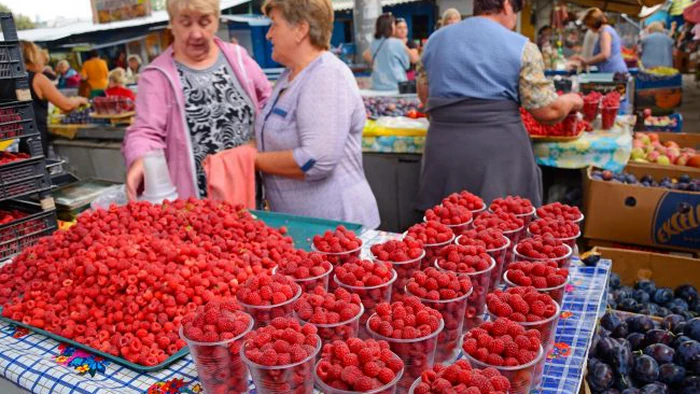 Ціни на малину б'ють рекорди: чому ягода цього року така дорога та як її збирають