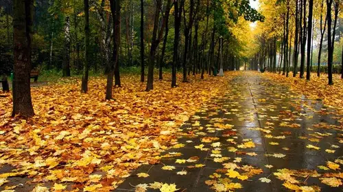 Україну до кінця тижня накриє дощами: де ще втримається тепло до +18°
